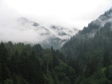 Ayder_Huser